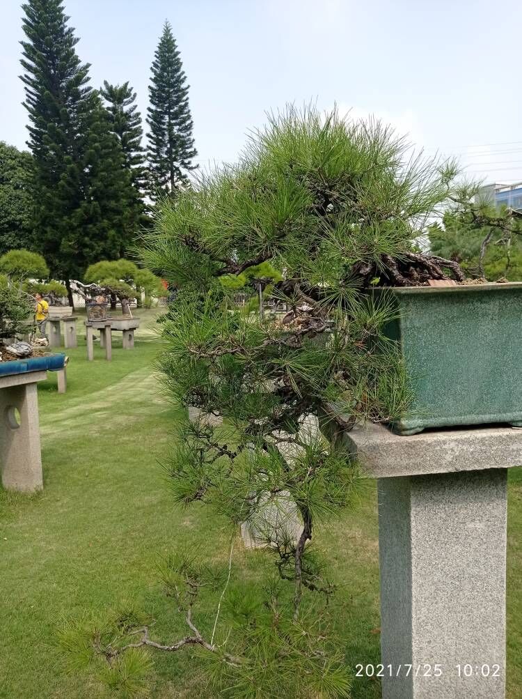 淤泥原位土壤固化土壤固化剂源头好货