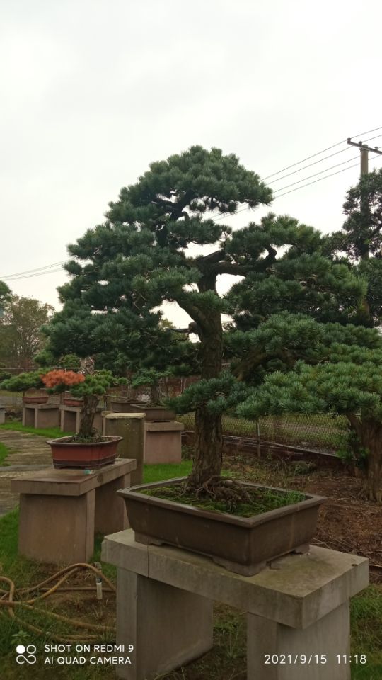 场地硬化土壤固化土壤稳定剂推荐厂家材质实在