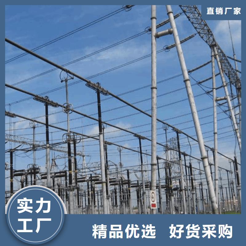 管母线镀锡铜绞线专注品质当地生产厂家