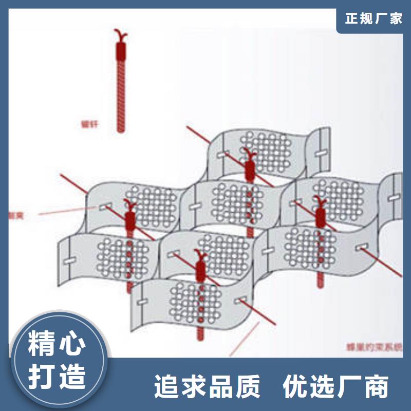 蜂巢格室-土工格室选择我们没错本地服务商